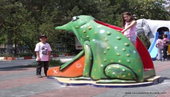 Kurbağa Kaydırak TMK-004