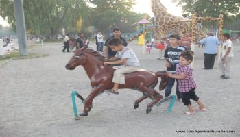 At Zıp Zıp TPE-010