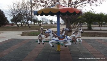 Dönence Atlı Karınca TPE-001