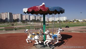 Dönence Atlı Karınca TPE-001