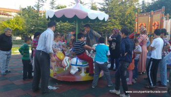 Dönence Atlı Karınca TPE-001